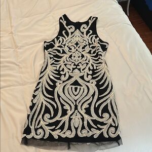 Endless Rose Embroidered Mini Dress